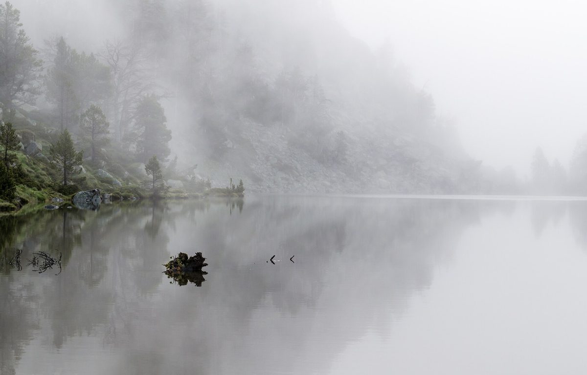 A lake shore in fog